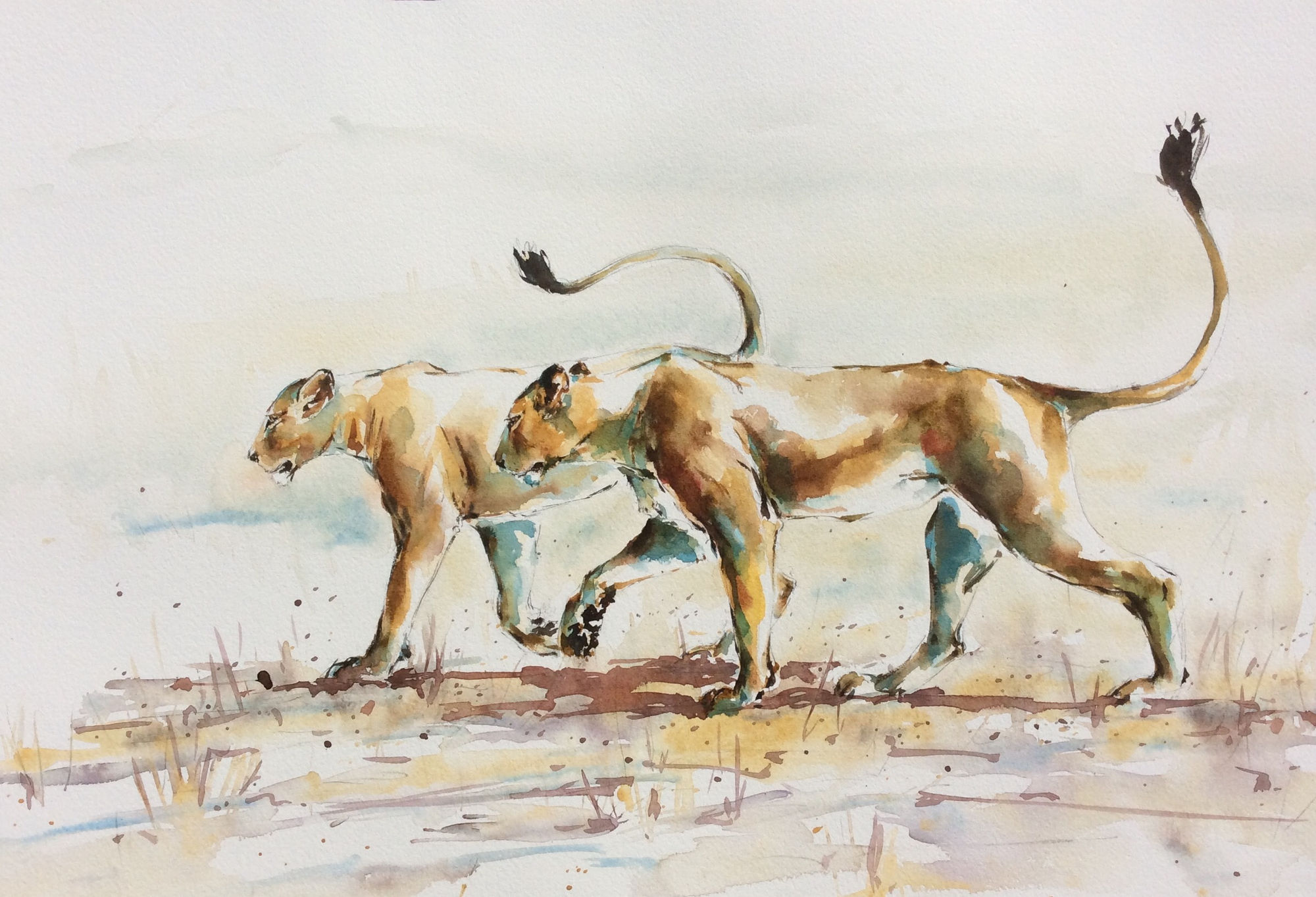 Julia Cassels, Sisters