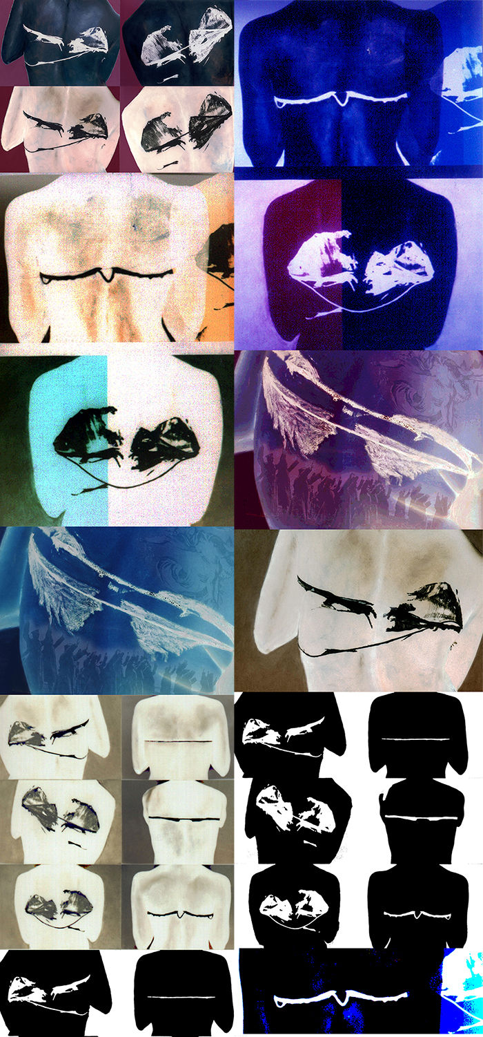 Kaethe Kauffman, Muscle Movement Back I & II © Kaethe Kauffman 2022 limited edition print on silk -4x8-200, 2022