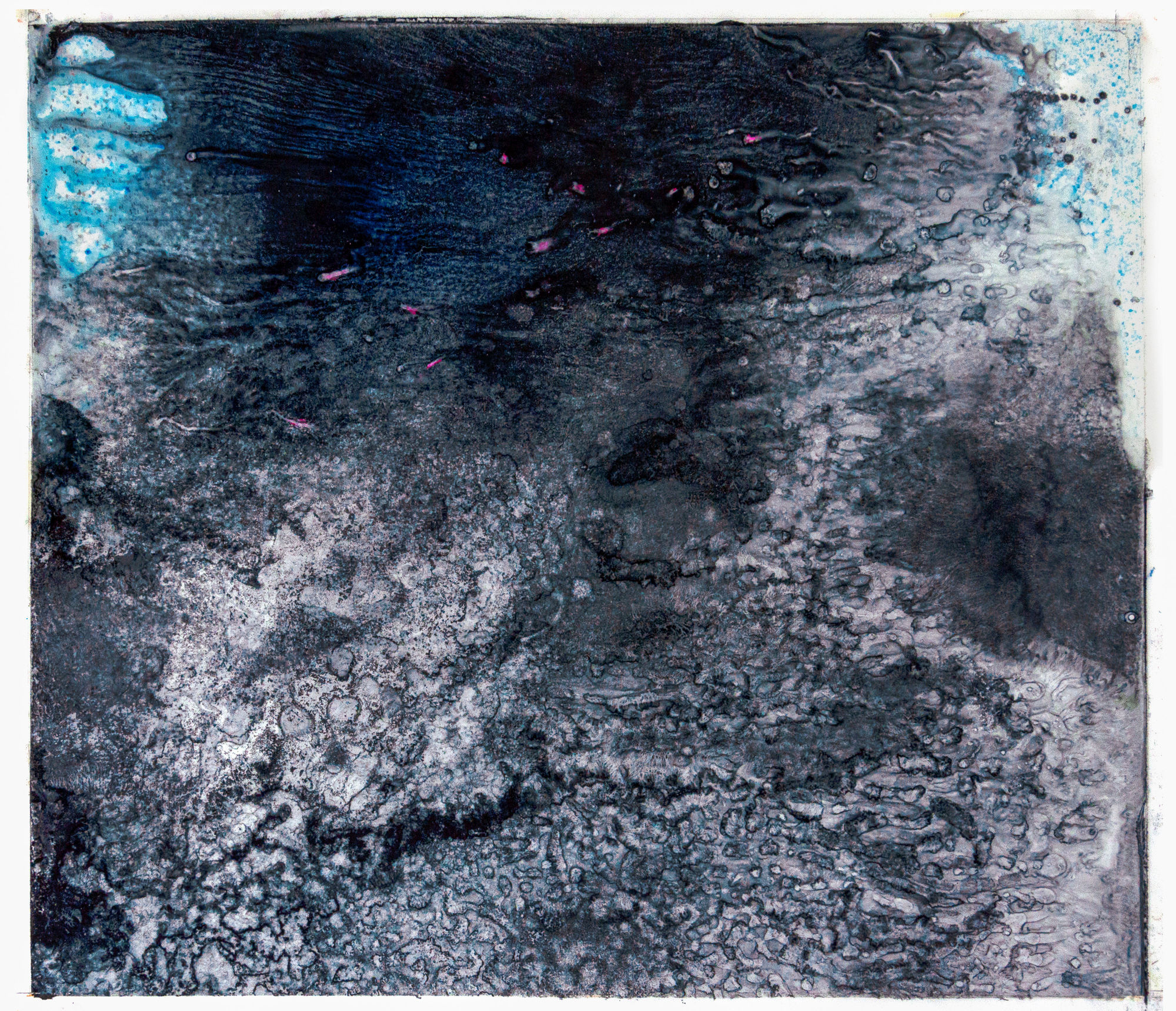 Virginia Bradley, Corallium 10, 2022