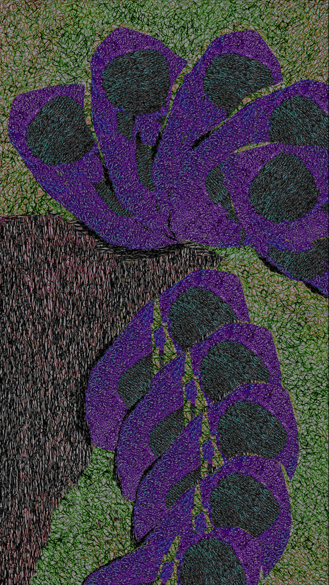 Kaethe Kauffman, Purple Green Petals , 2024