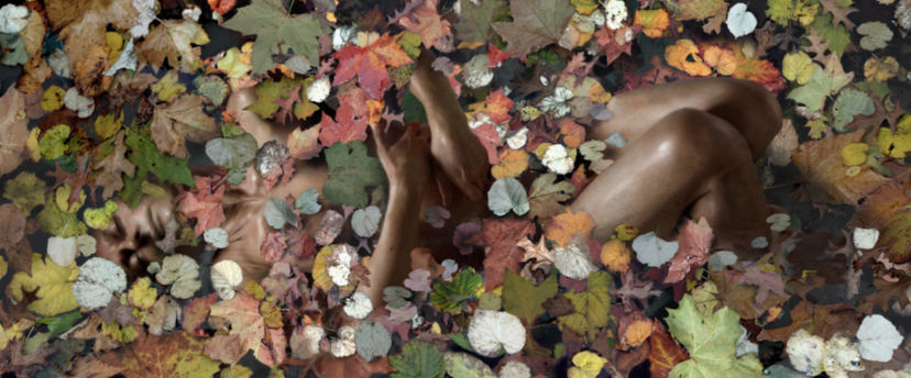 Ahmad Zakii Anwar, Tales from the Primordial Garden XII, 2015