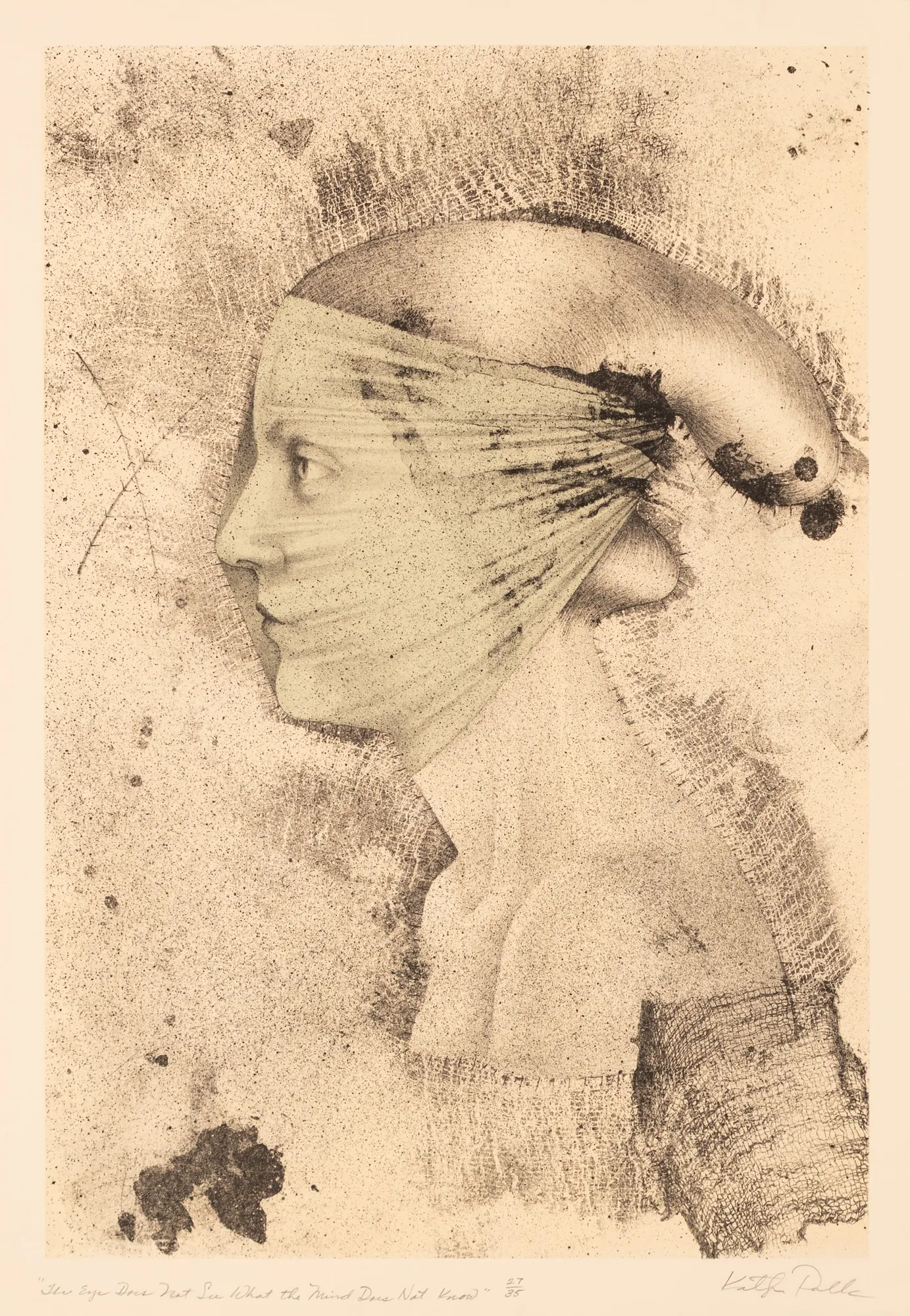 Kathryn Polk, The Eye Does Not See What the Mind Does Not Know, 2016