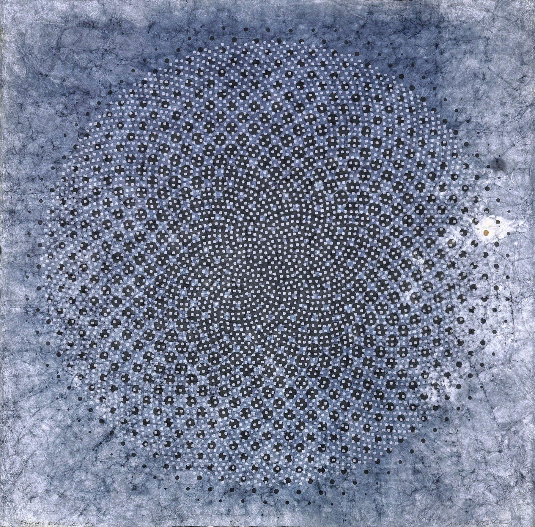 Carrie Ann Plank, Pullulate Series 2 #11 , 2022