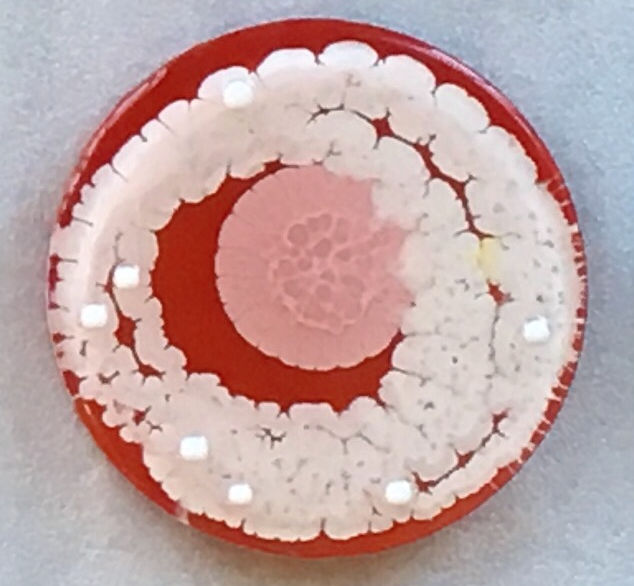 Klari Reis, Annie, 2017