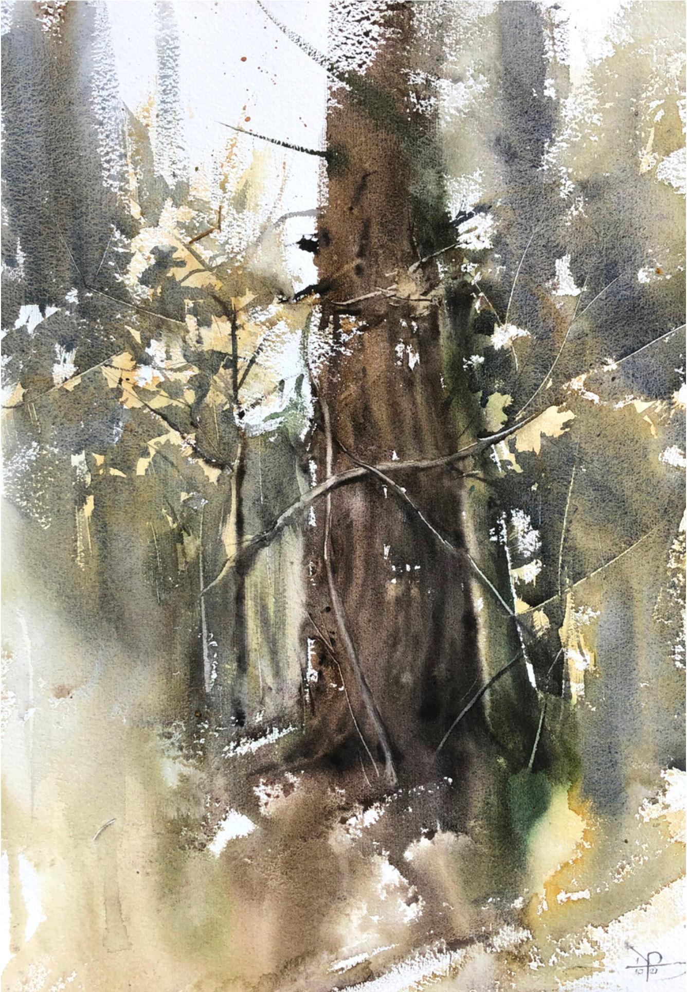 Prasad Beaven, Autumn Tree Portrait, 2022