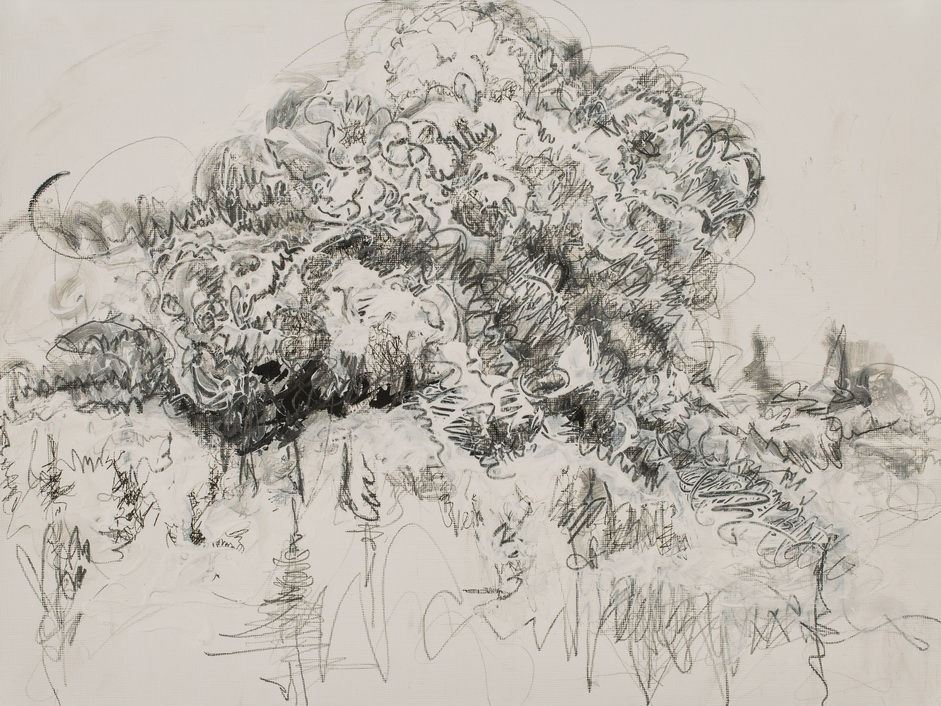 Pantea Rahmani, Untitled