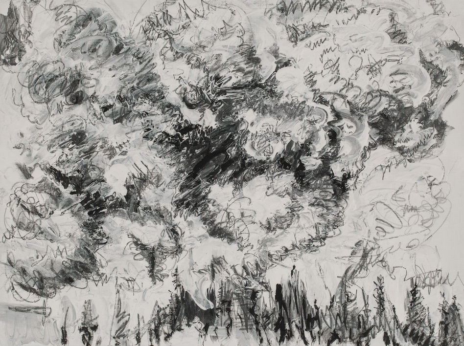 Pantea Rahmani, Untitled