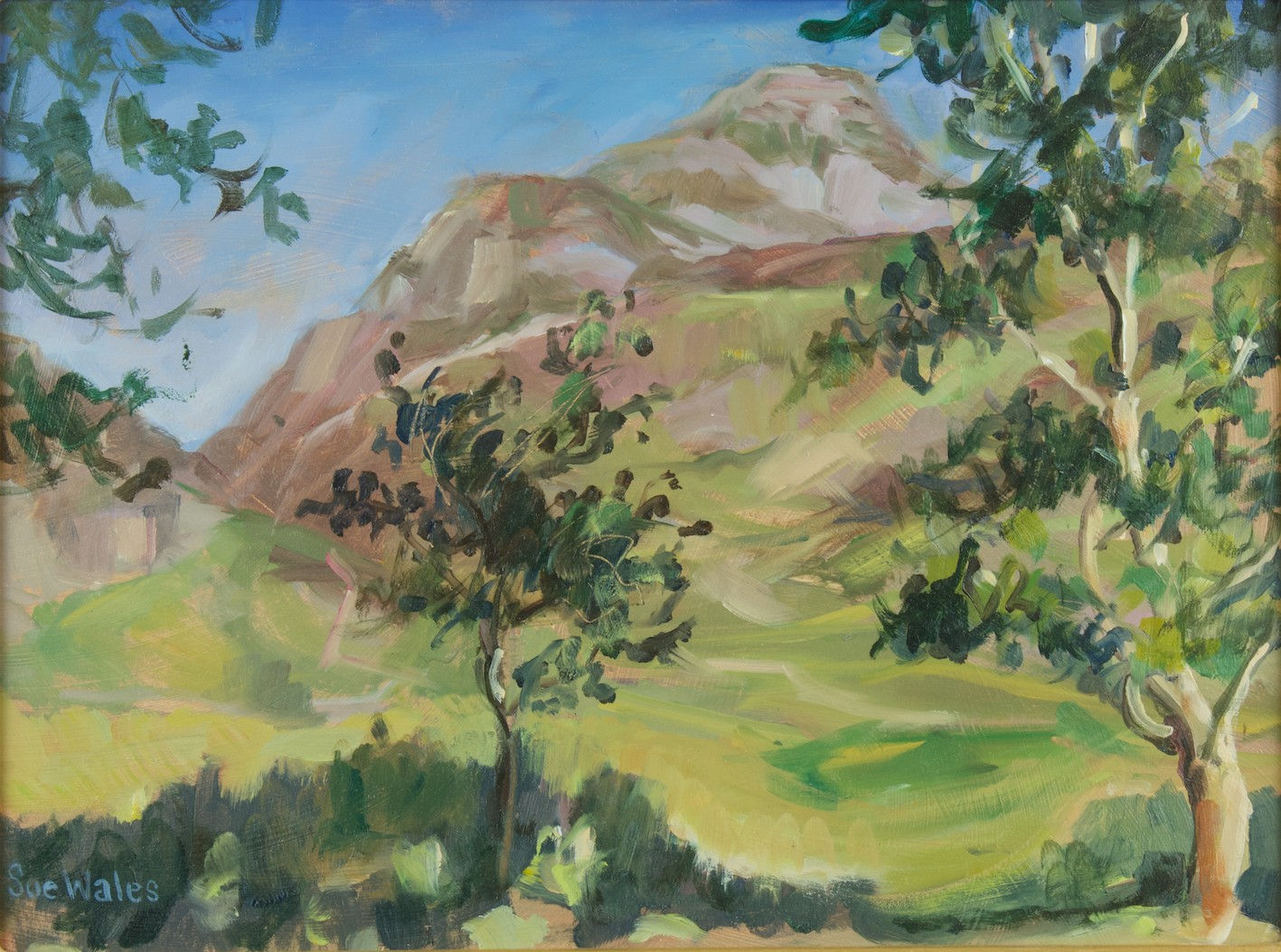 Sue Wales, Nantcol Valley (Rhinog Fach)