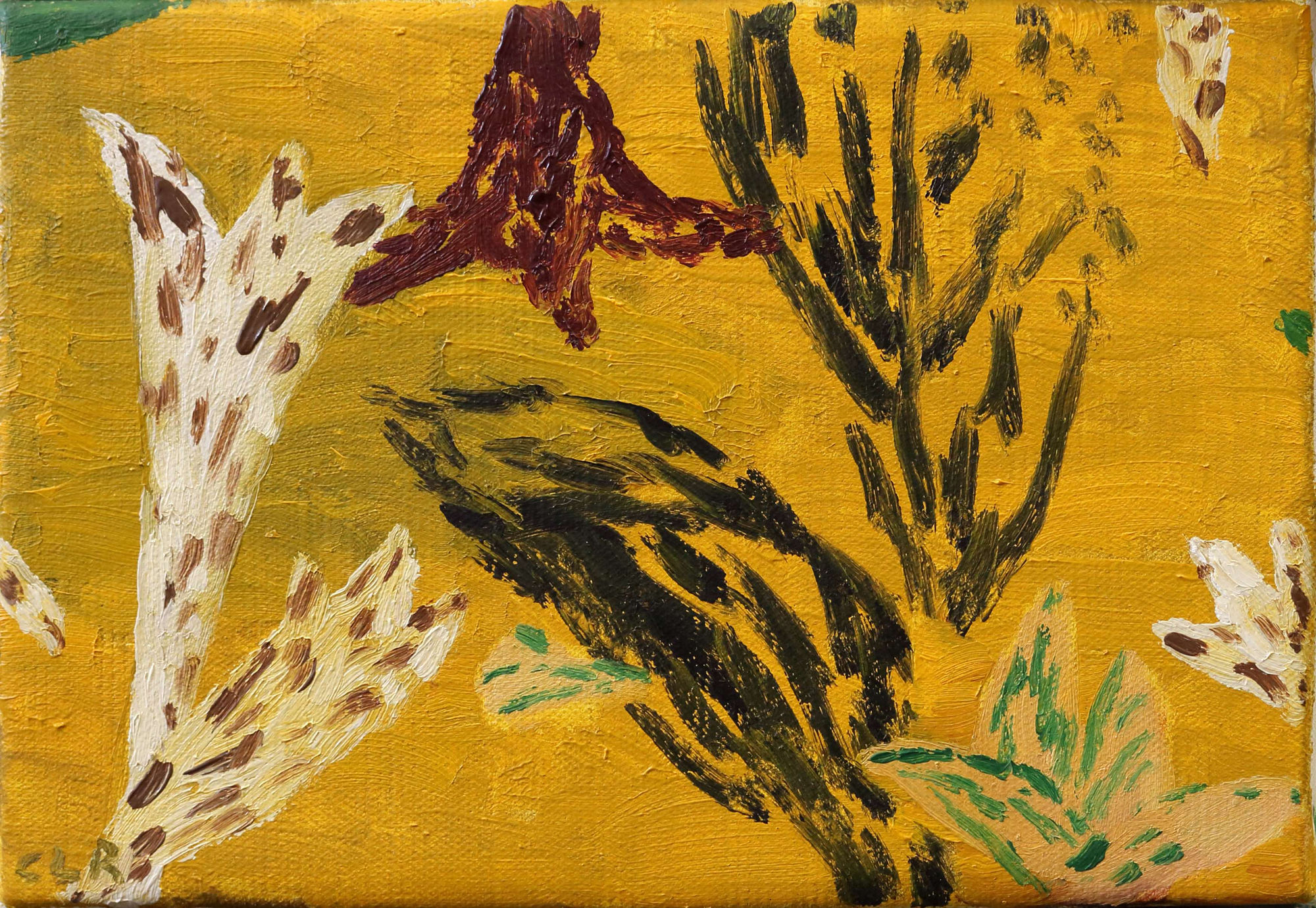 Cristina Lama, Plantas, 2018