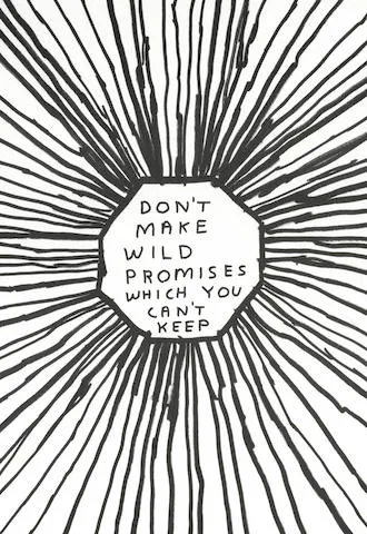David Shrigley, Don't make wild promises which you can't keep, 2004