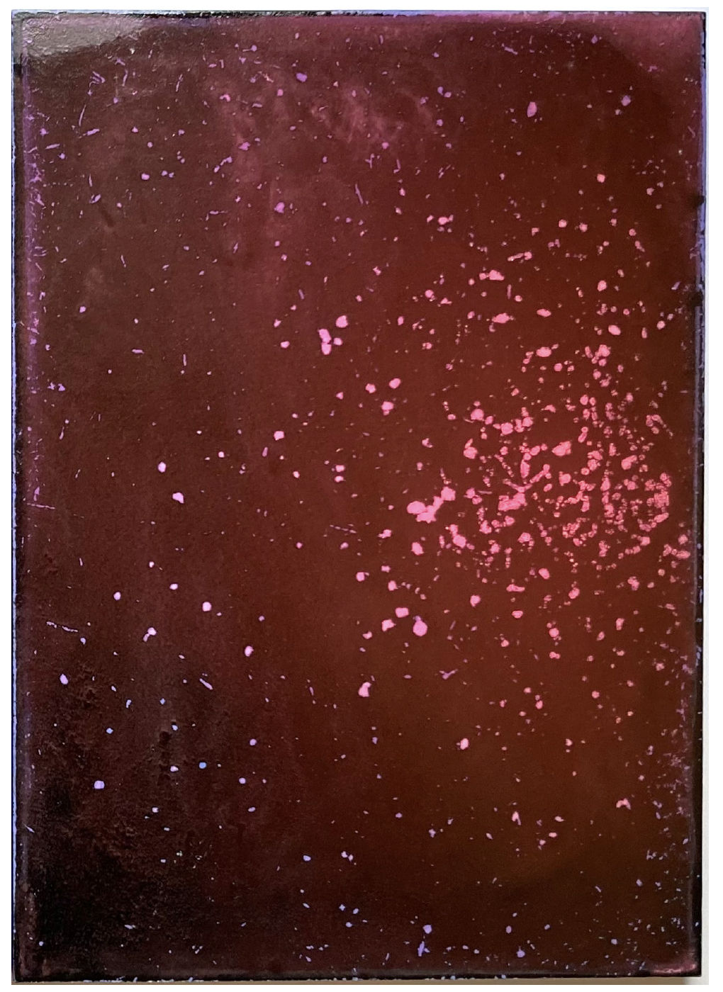 Asia Gelin, 2028-4, 2023