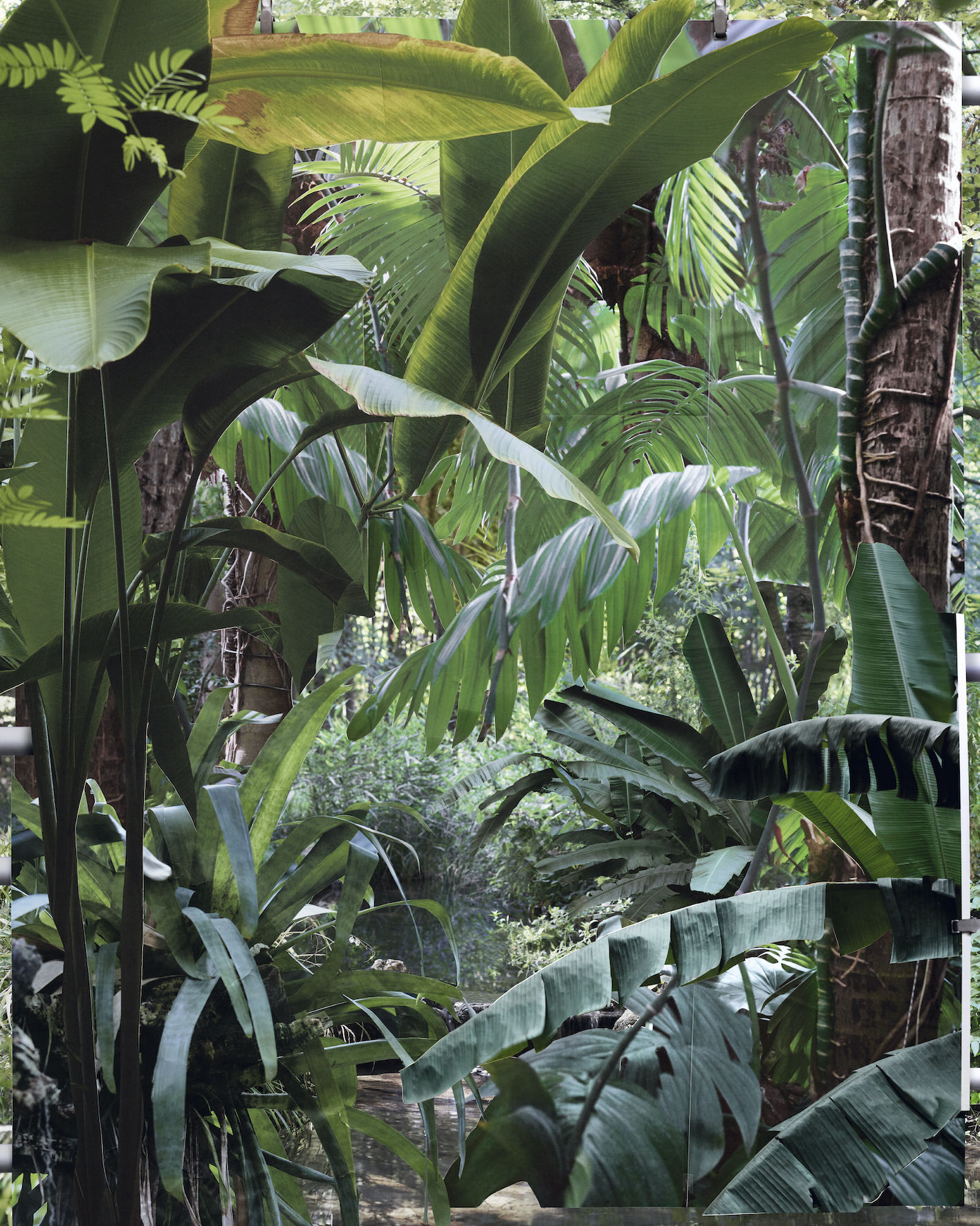 Noémie Goudal, Tropiques VI, 2020