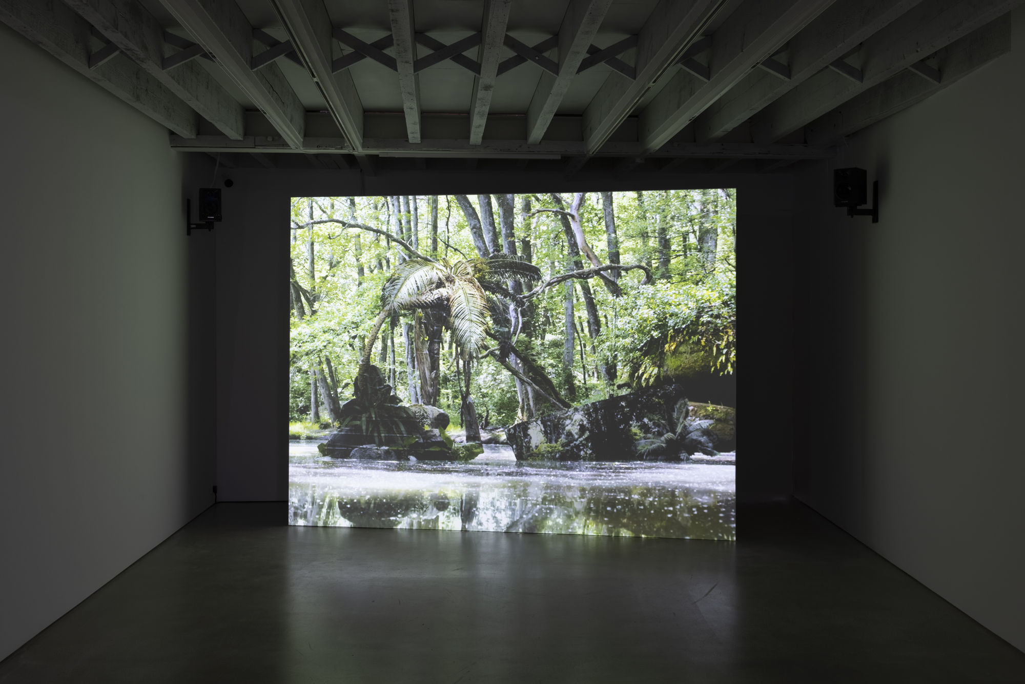 Noémie Goudal, Inhale, Exhale, 2021