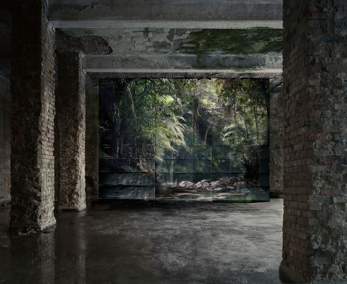 Noémie Goudal, Trail, 2012
