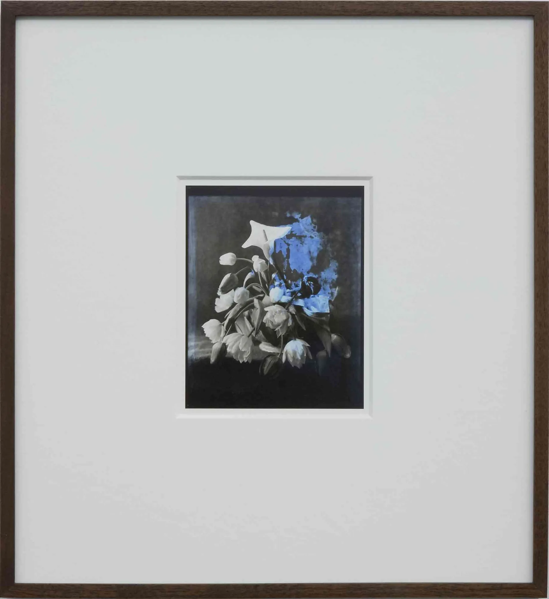 Jodie Carey, Elegy IV, 2012