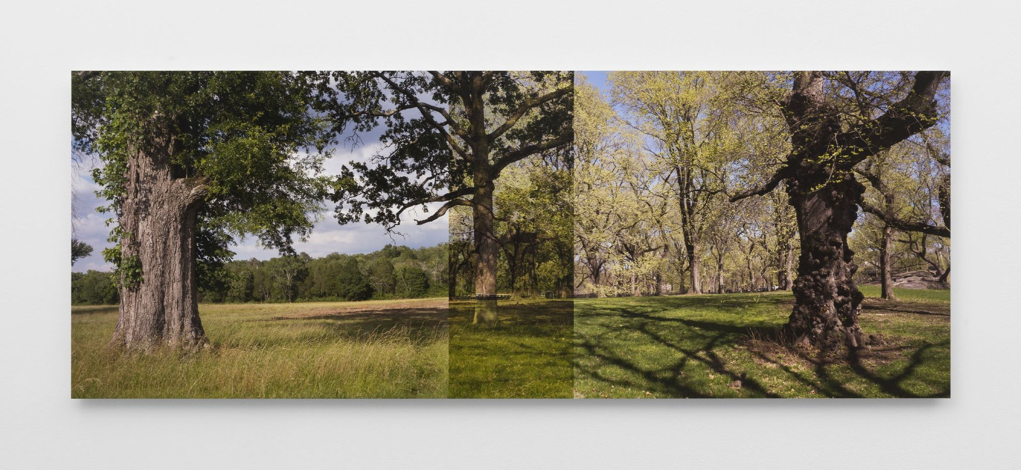 Stephen Berens, Some braved the chill & The night turned bitter cold, 2018