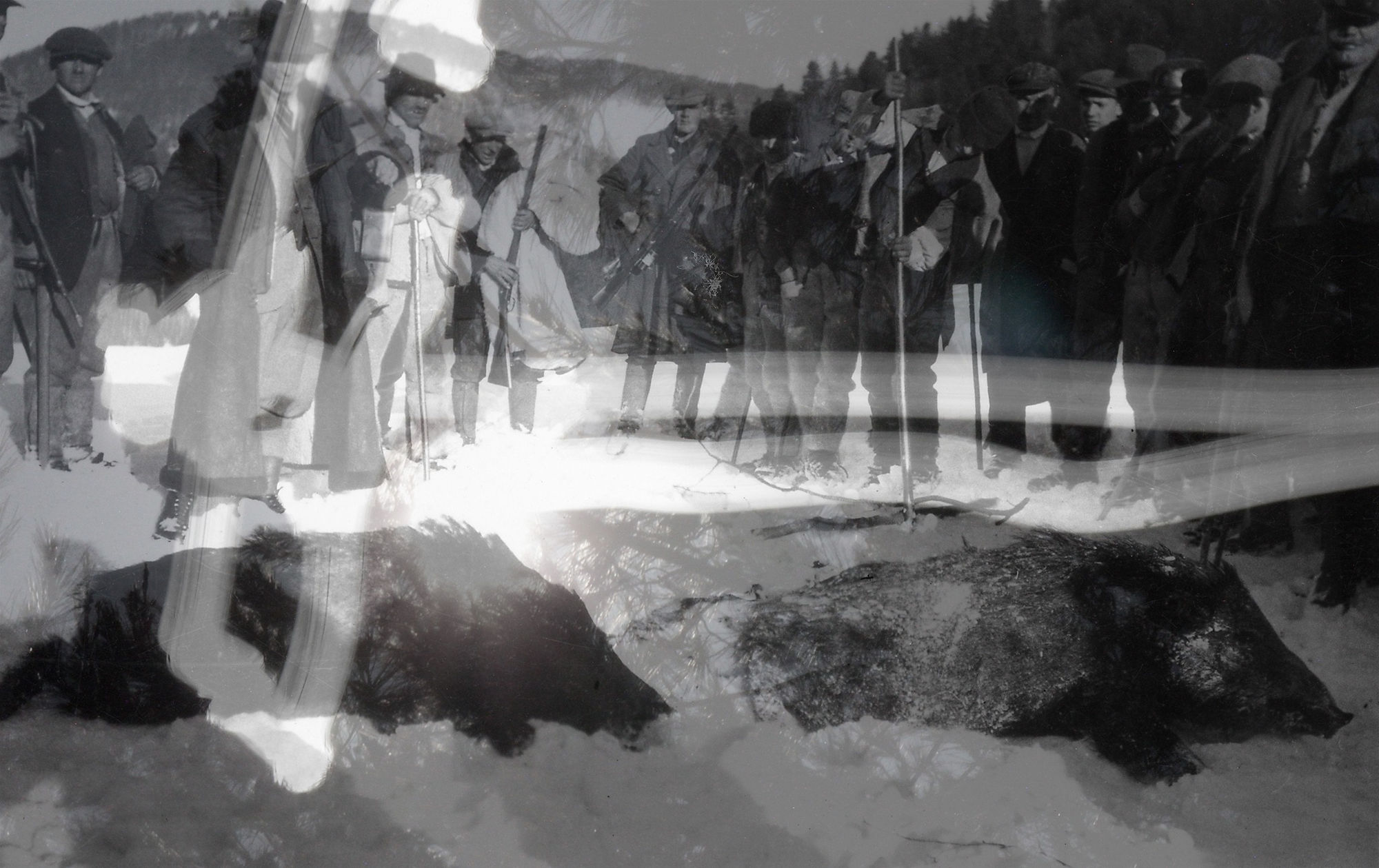 George Legrady, Day & Night Transylvania Hunt, 2015