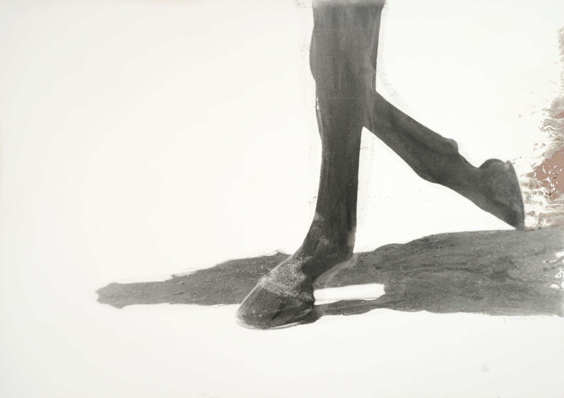 Gerald Incandela, Step In The Shadow, 2007