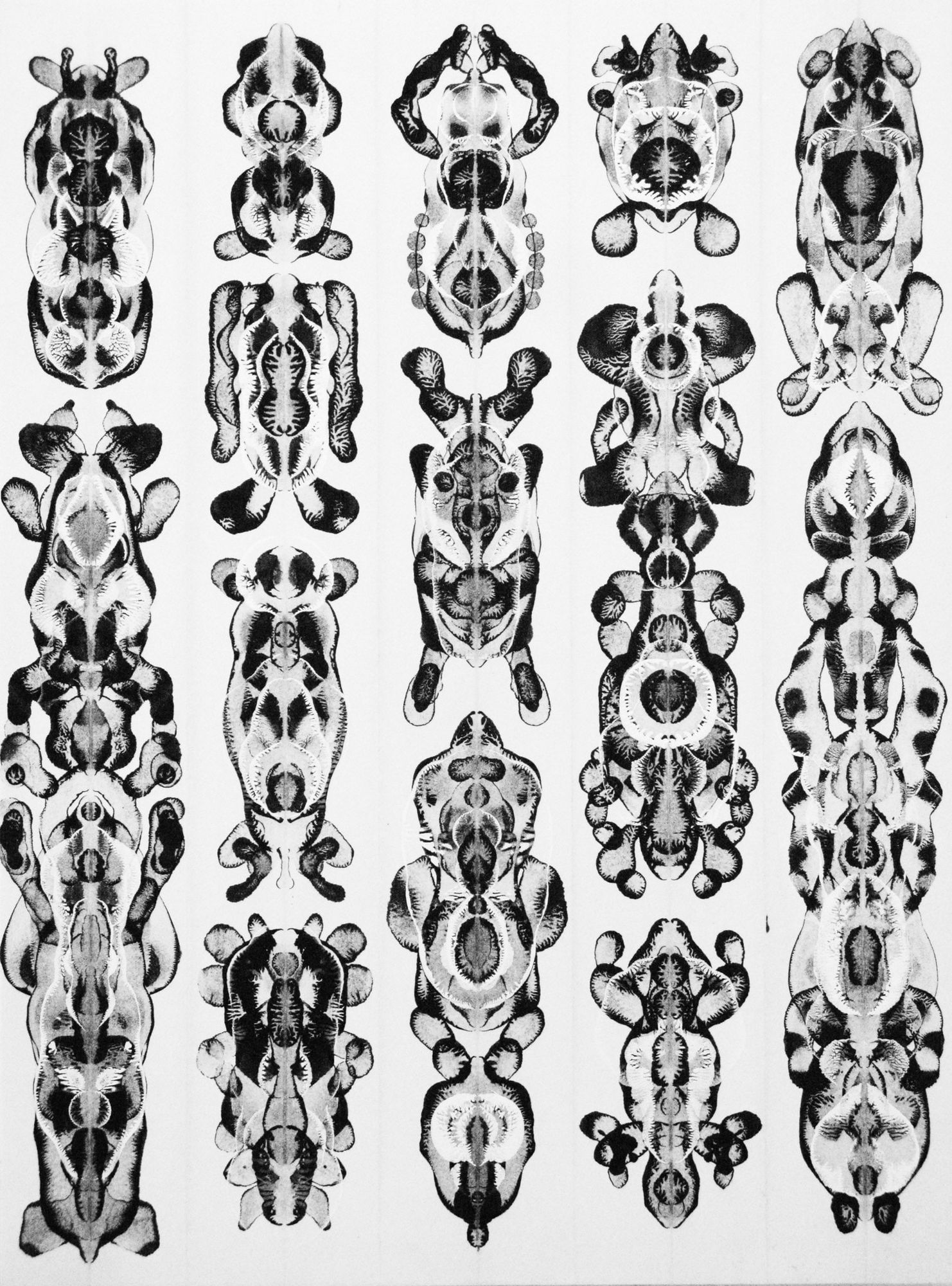 Brad Miller, Bifold BC5, 2015