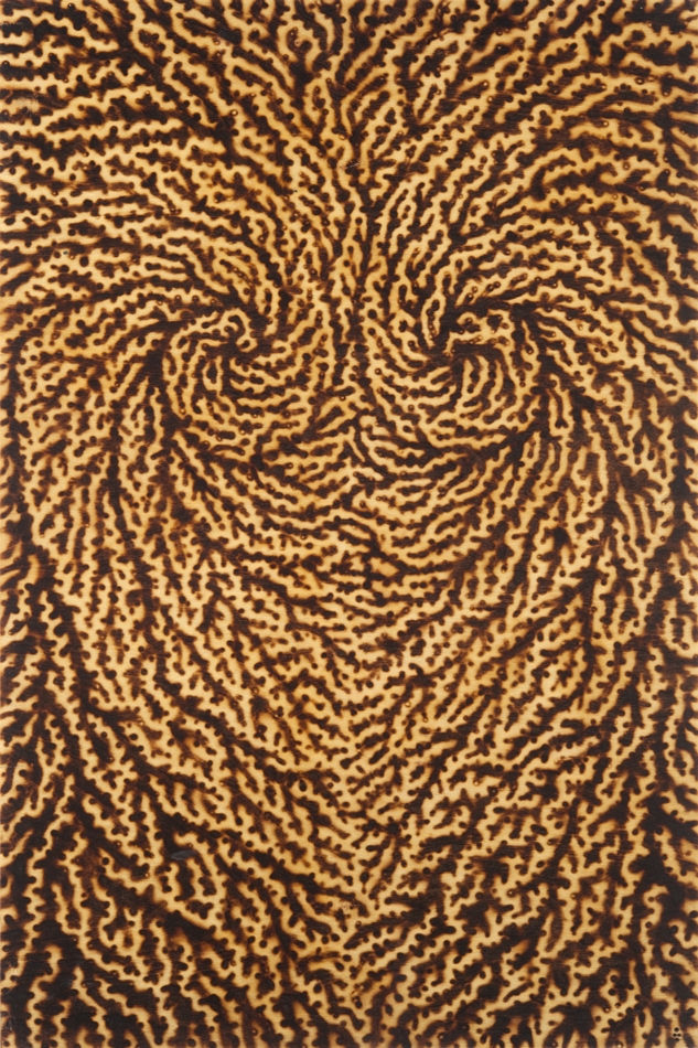 Brad Miller, Rotators #1, 2004