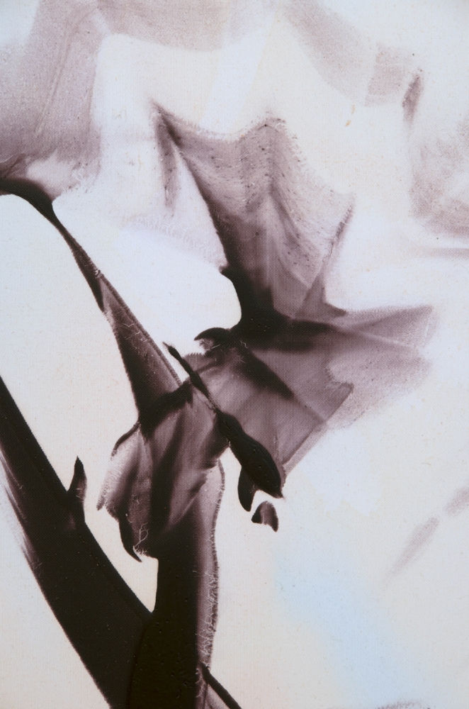 Claire Baker, Flash, 2013