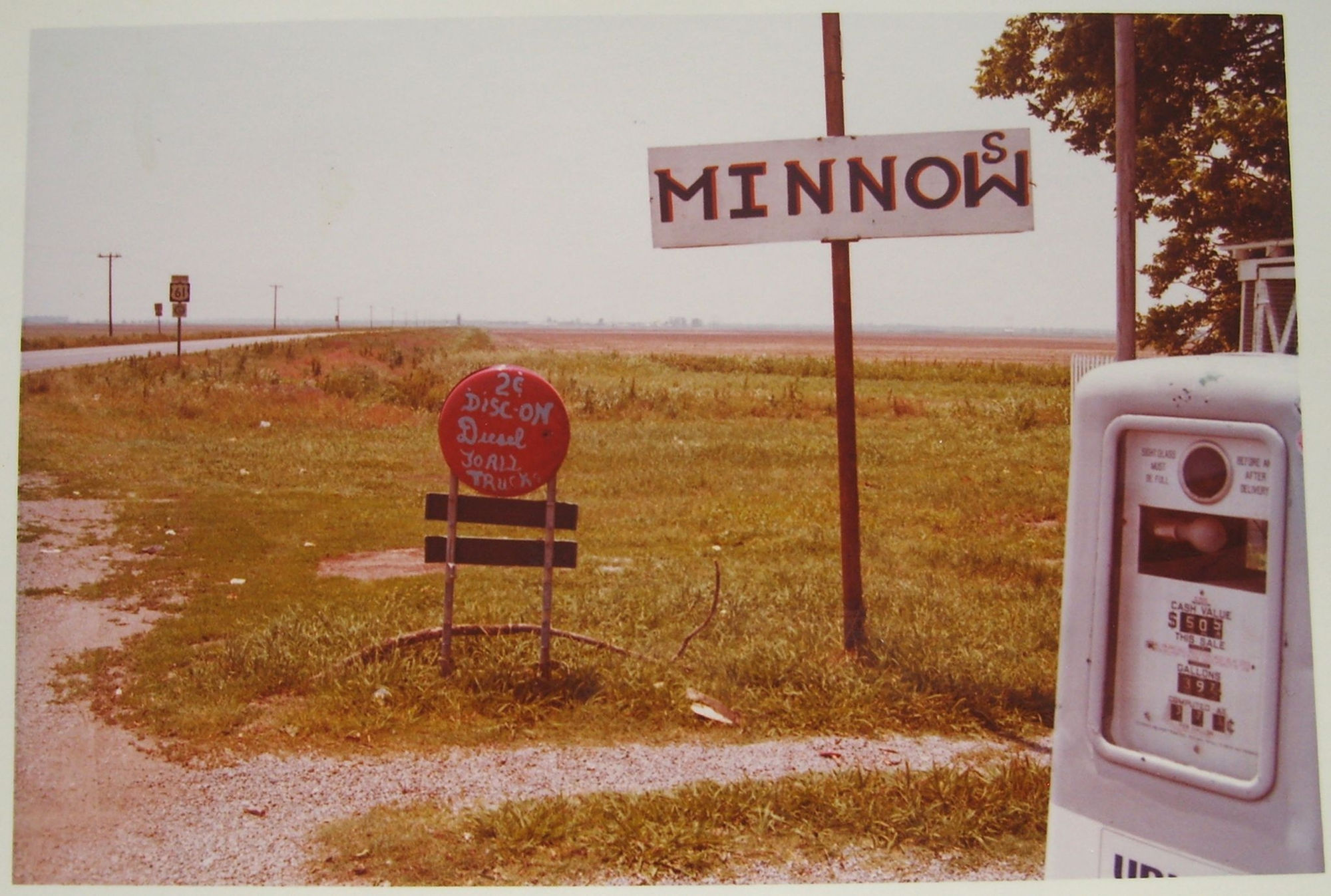 William Eggleston, Untitled (Minnows on Hwy 61 in the Mississippi Delta), 1972