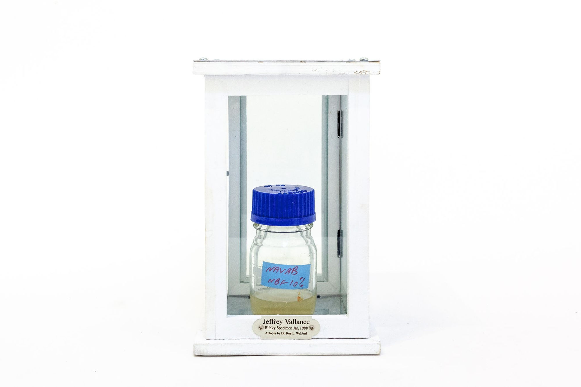 Jeffrey Vallance, Blinky Speciman Jar, 1990