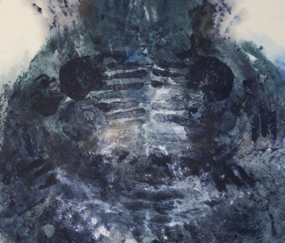 Mary Heebner, Patagonia Unearthed Series, Indigo Vessel #1, 2011