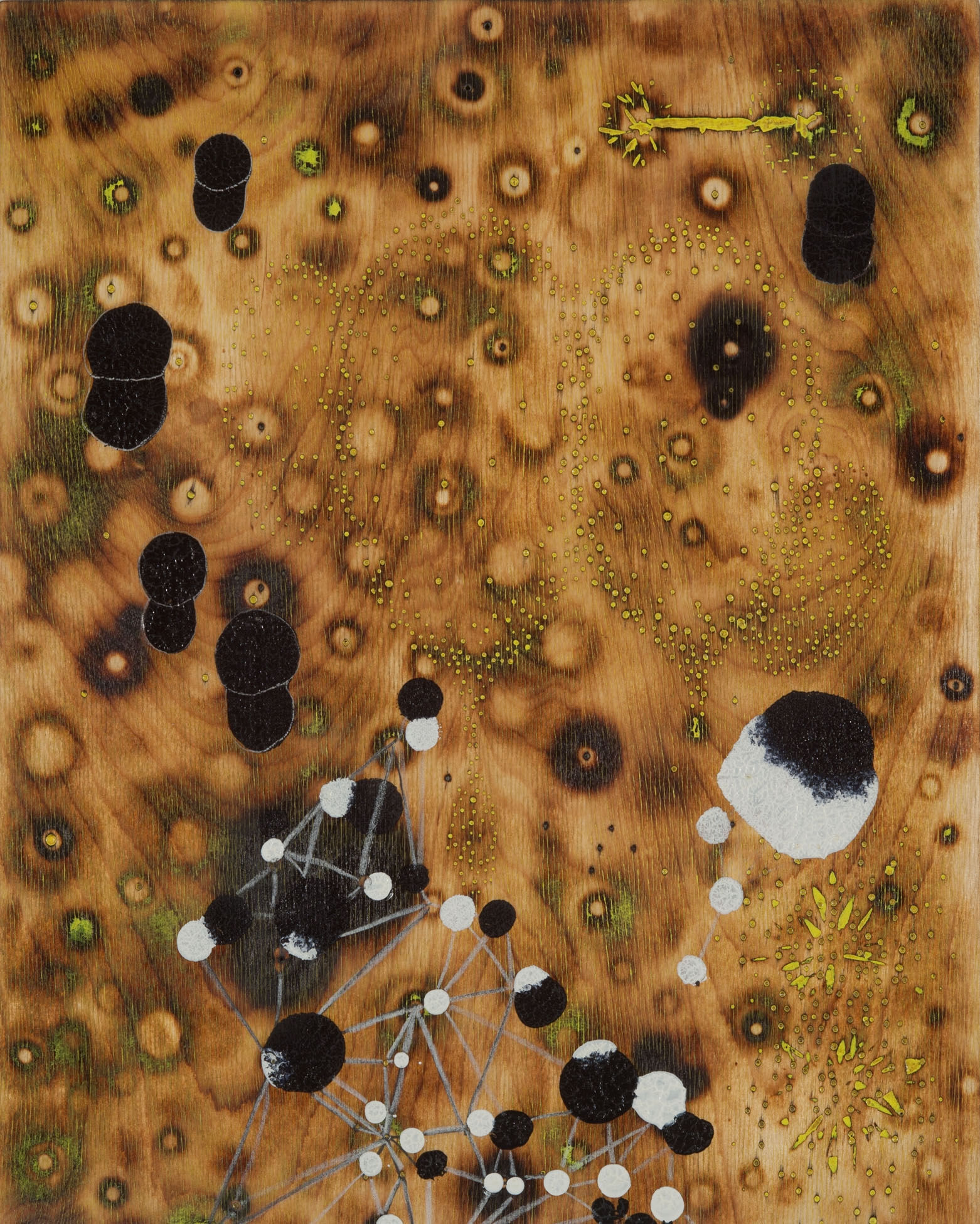 Brad Miller, Ghost, 2011