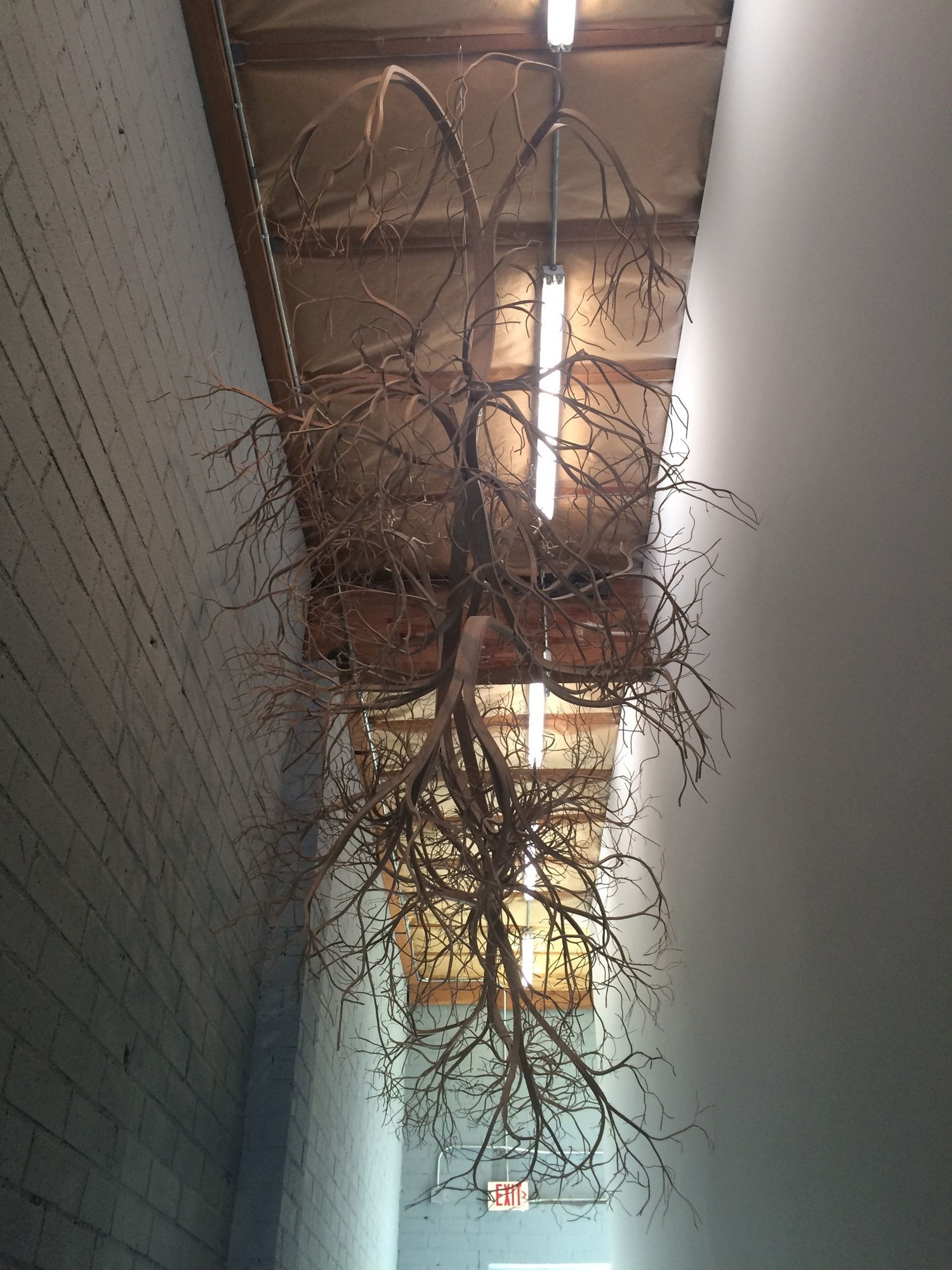 Pontus Willfors, Filtered Light, 2015