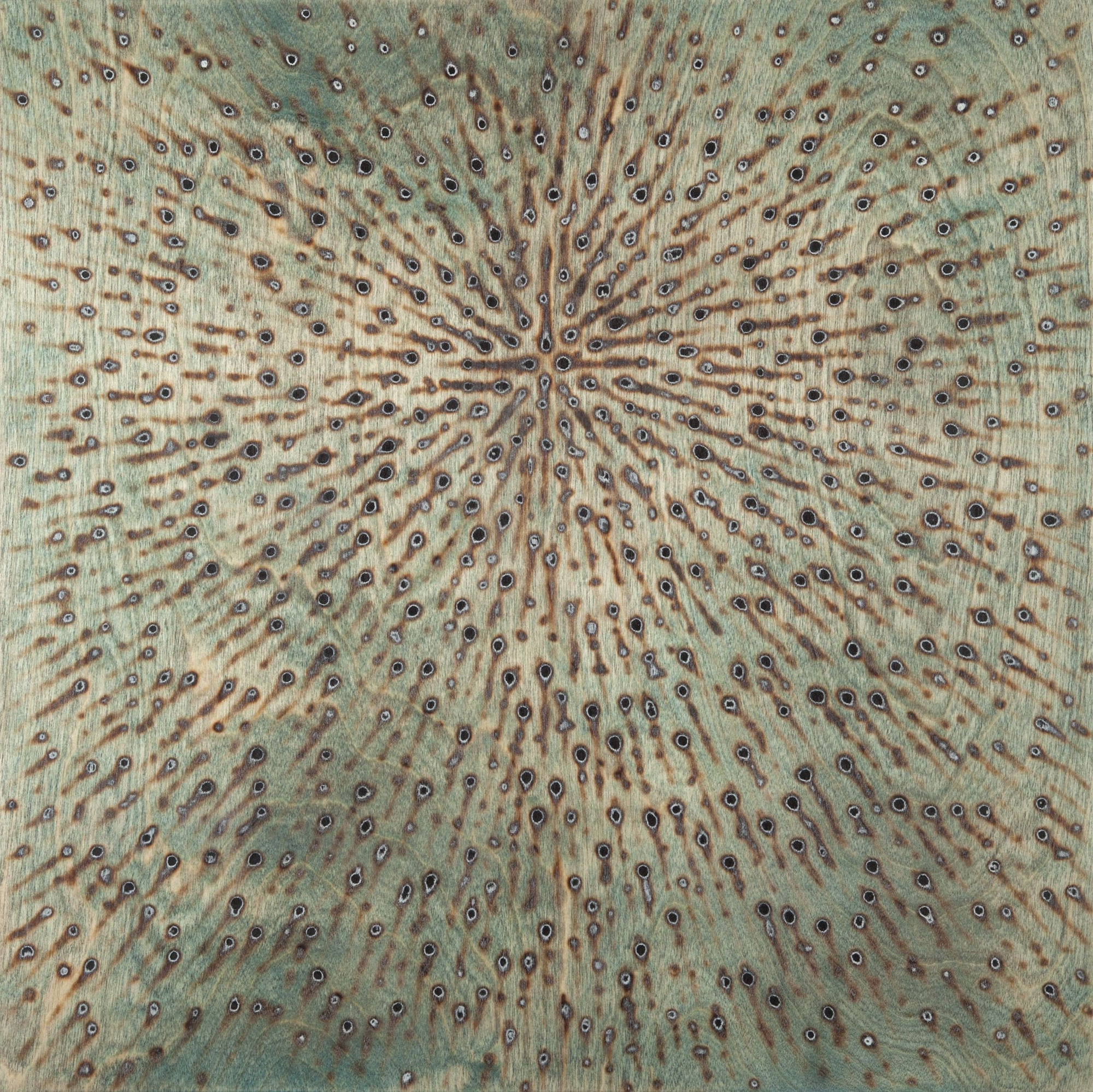 Brad Miller, Navigational, 2011