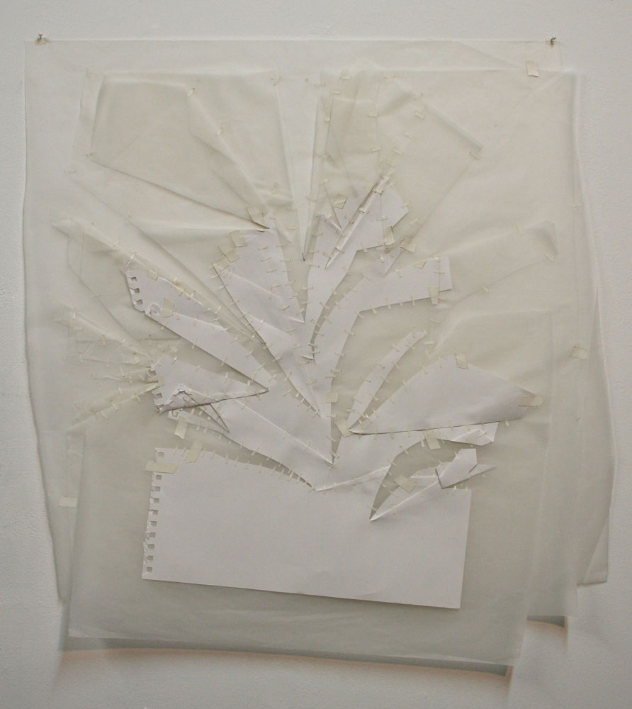 Kate Harding, Study #1, 2009