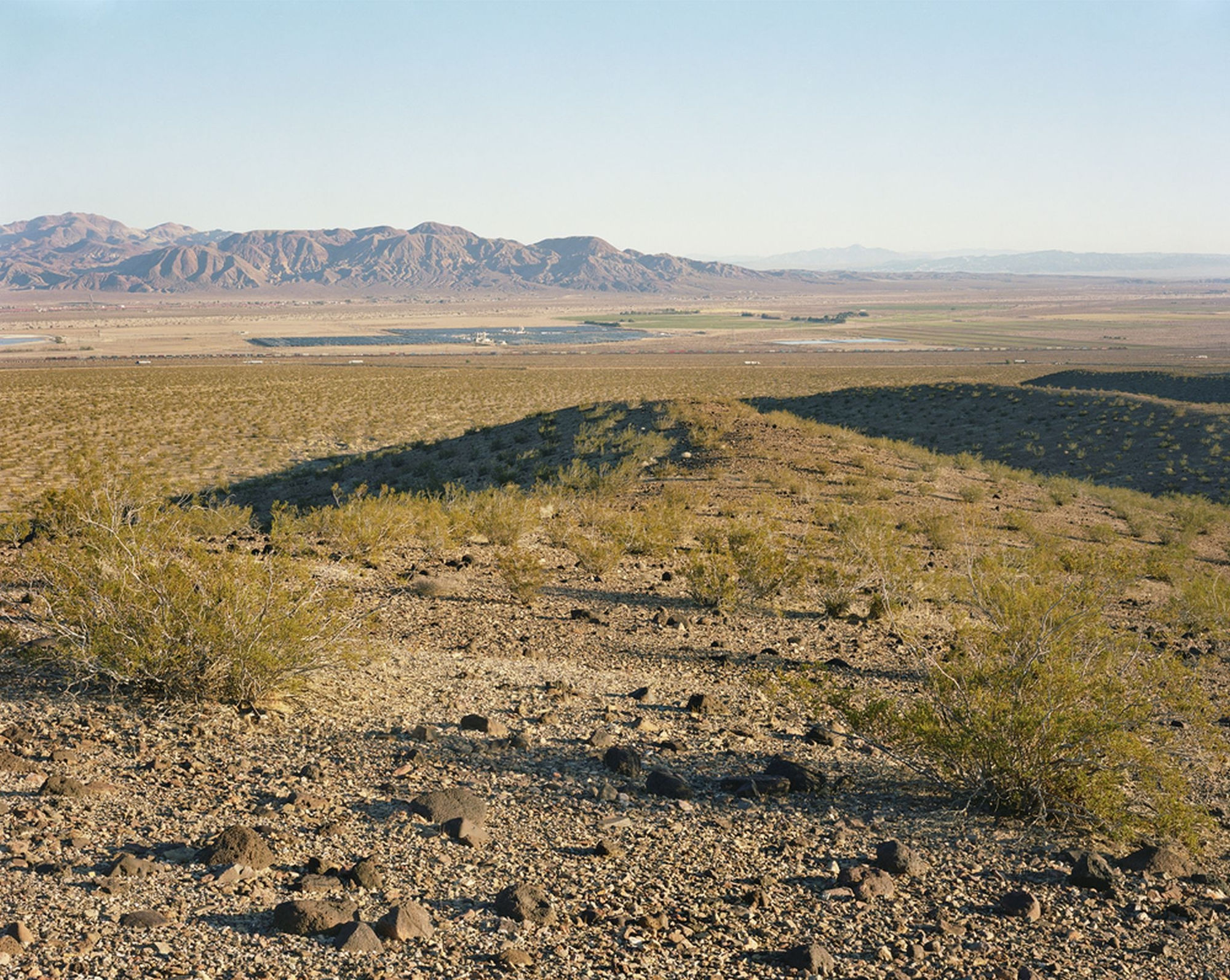 Alex Slade, Cogentrix SEGS II/Yarrow Ravine Rattlesnake Habitat Area, Daggett, CA, 2013