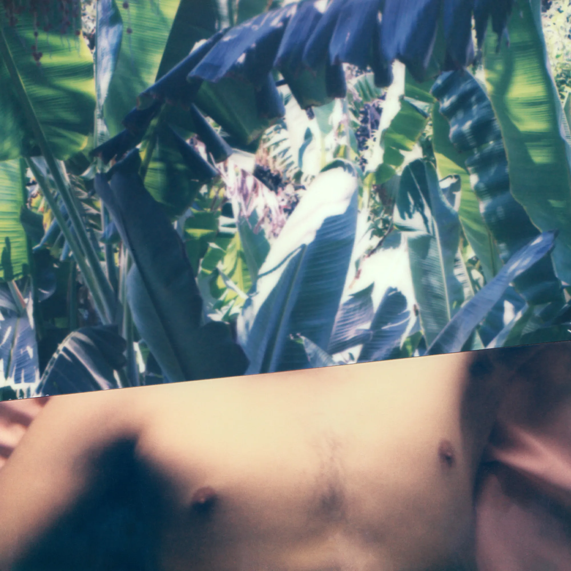 Stuart Sandford, Polaroid Collages (2018-TBA), LXXI (Edition 1 of 3), 2020