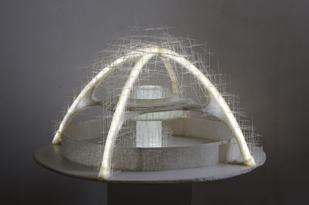 Deborah Aschheim, Encounter, 2009