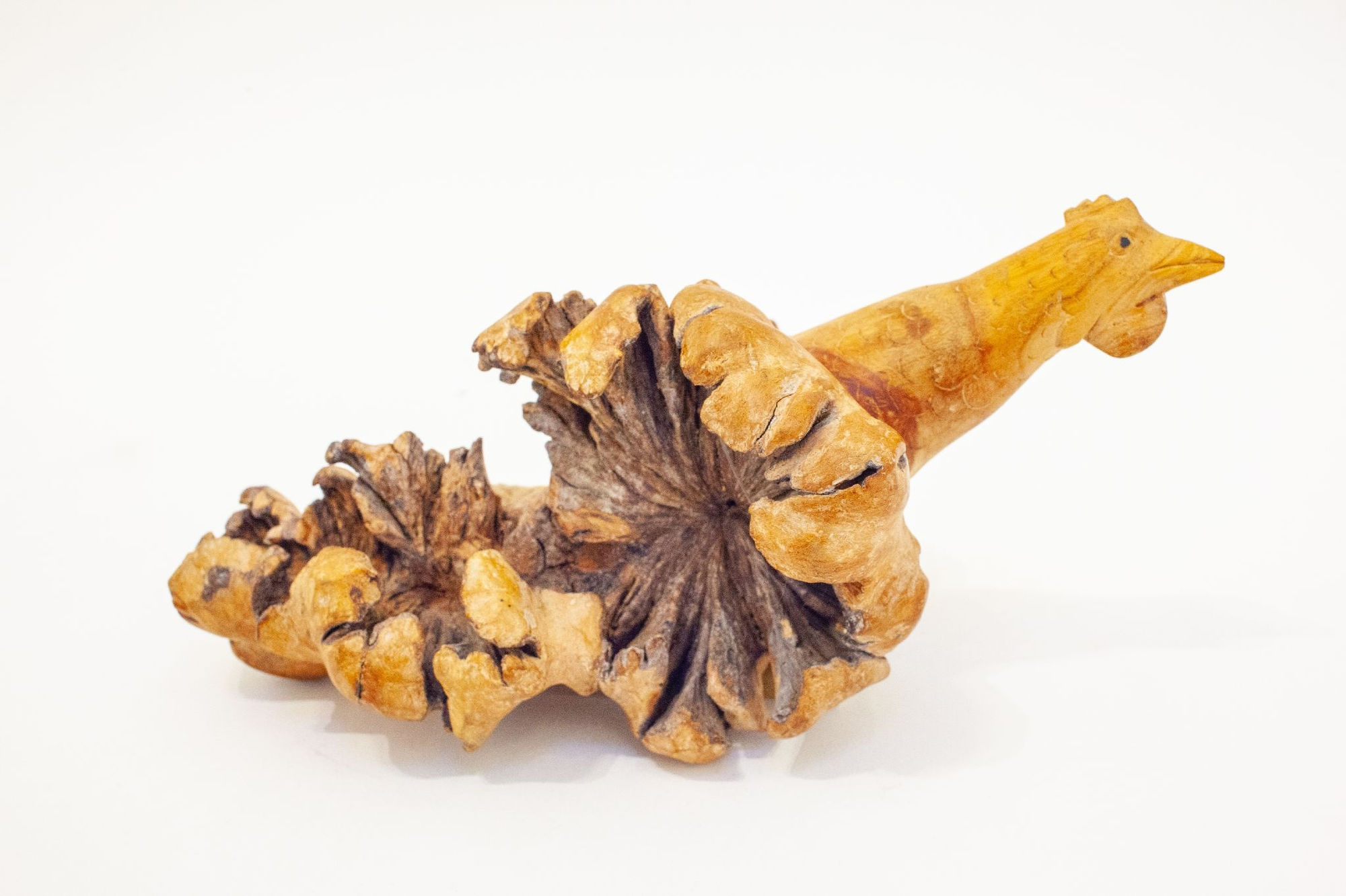 Jeffrey Vallance, Exploding Chicken (Pair), 2019