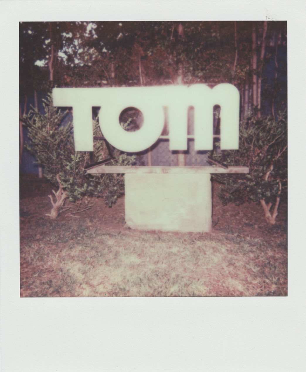 Stuart Sandford, TOM, 2014