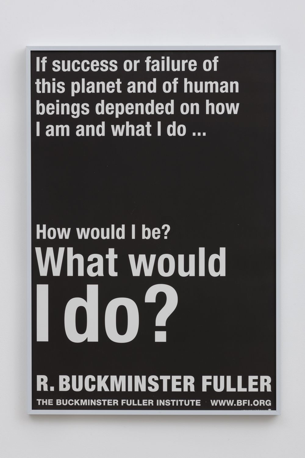 Buckminster Fuller, What Would I Do?