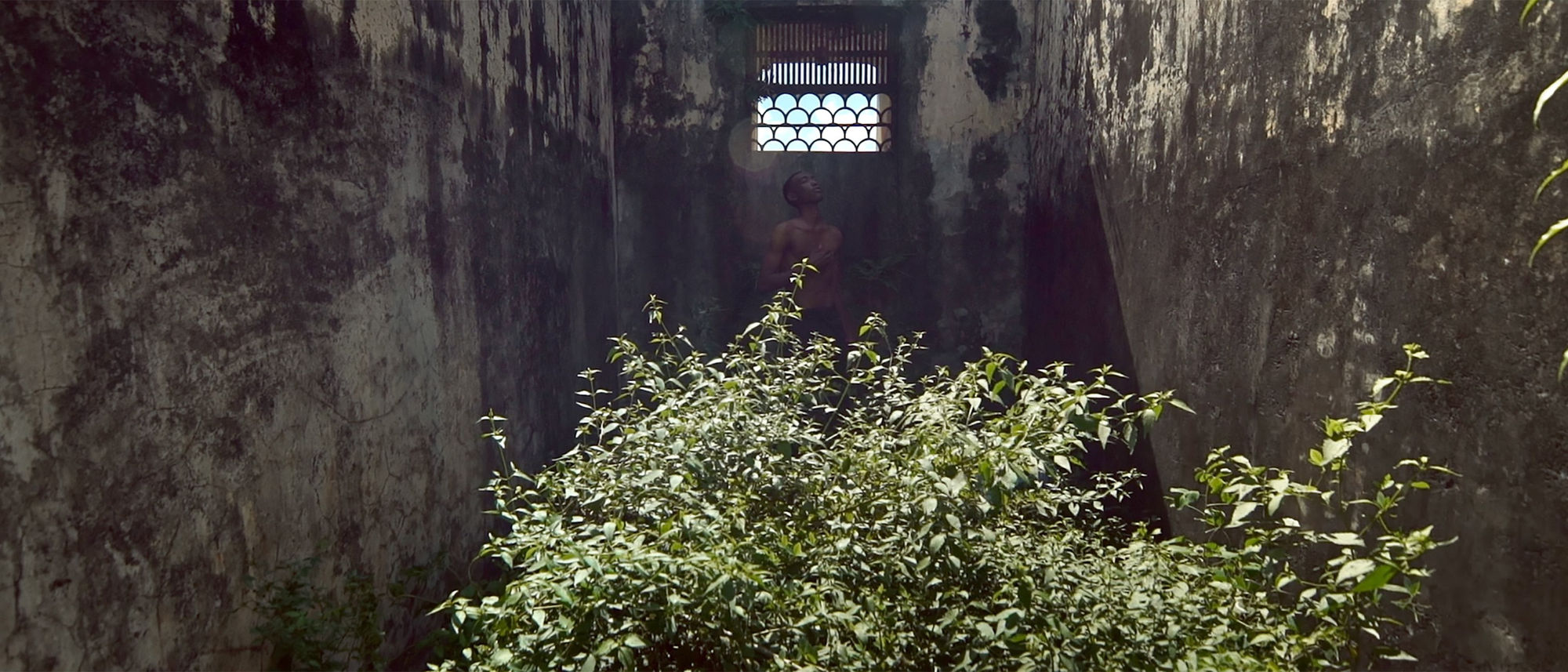 Billy Gerard Frank, Second Eulogy: Mind The Gap (Memory Of Love & Ruins. NO.2 ), 2019