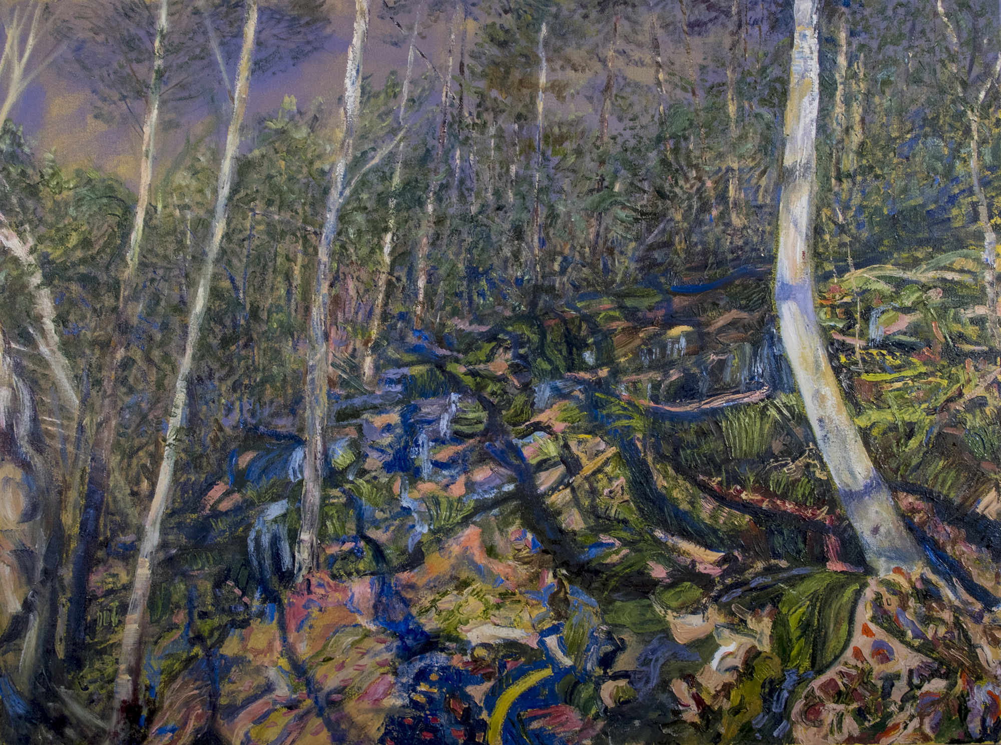 Alice Jones, Untitled