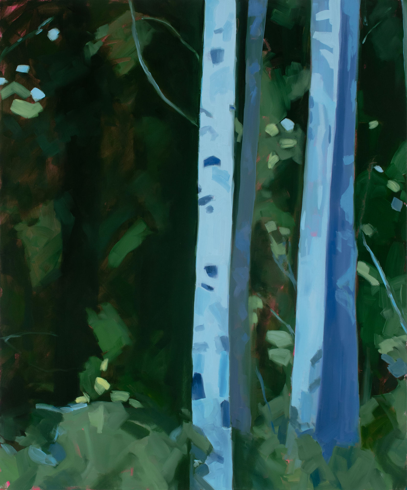 Anne Ireland, Near and Far, 2024