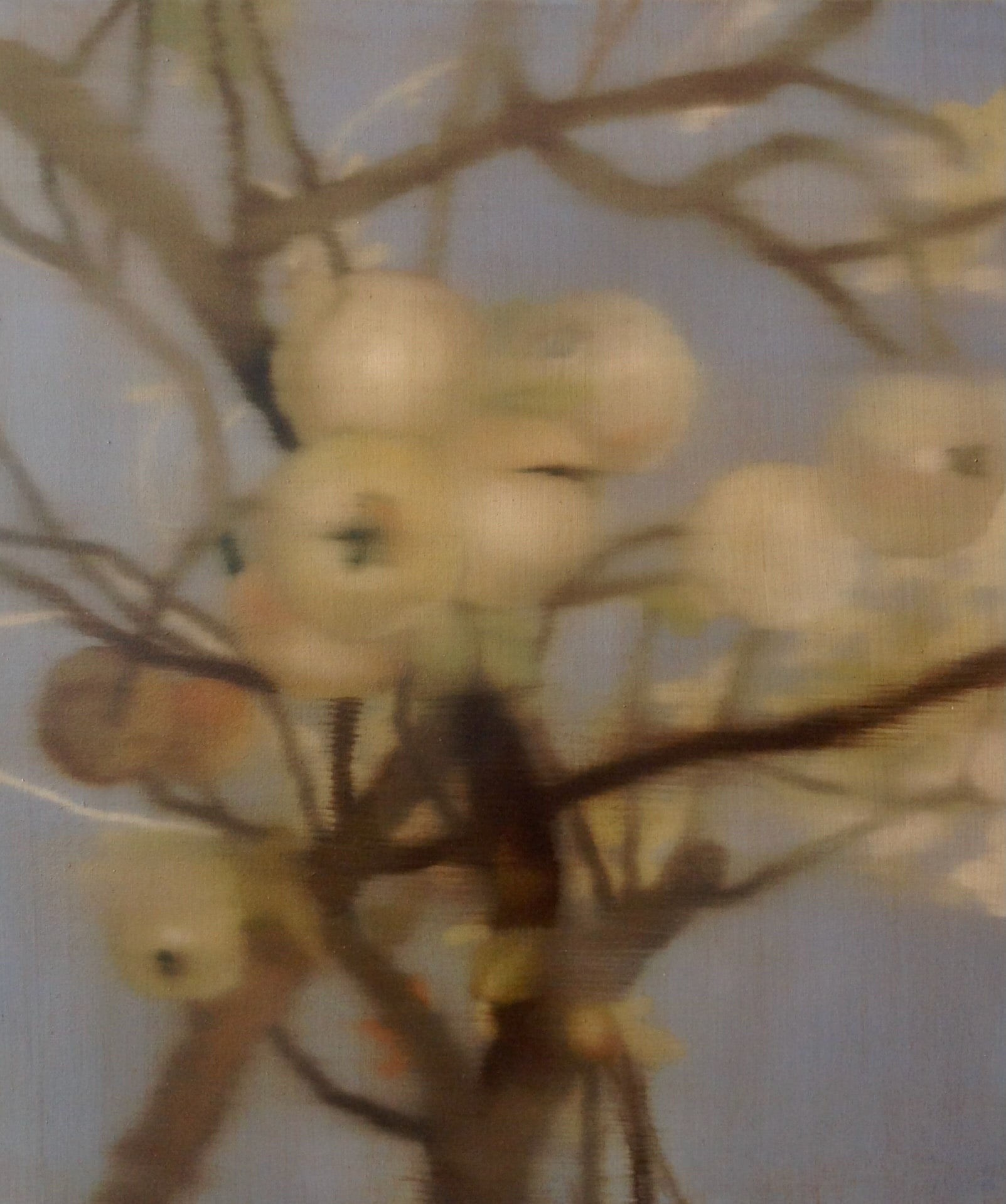 Johanna Bath, venice, 2025