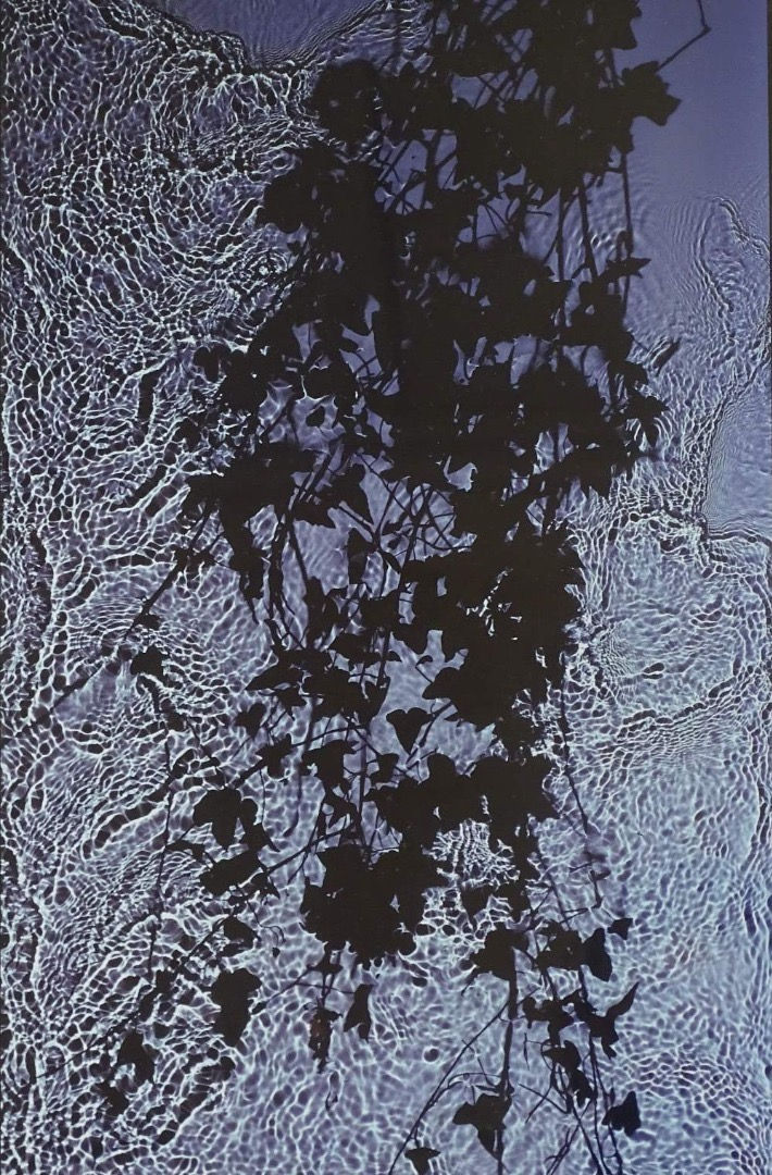 Susan Derges, River Taw Series, 1997