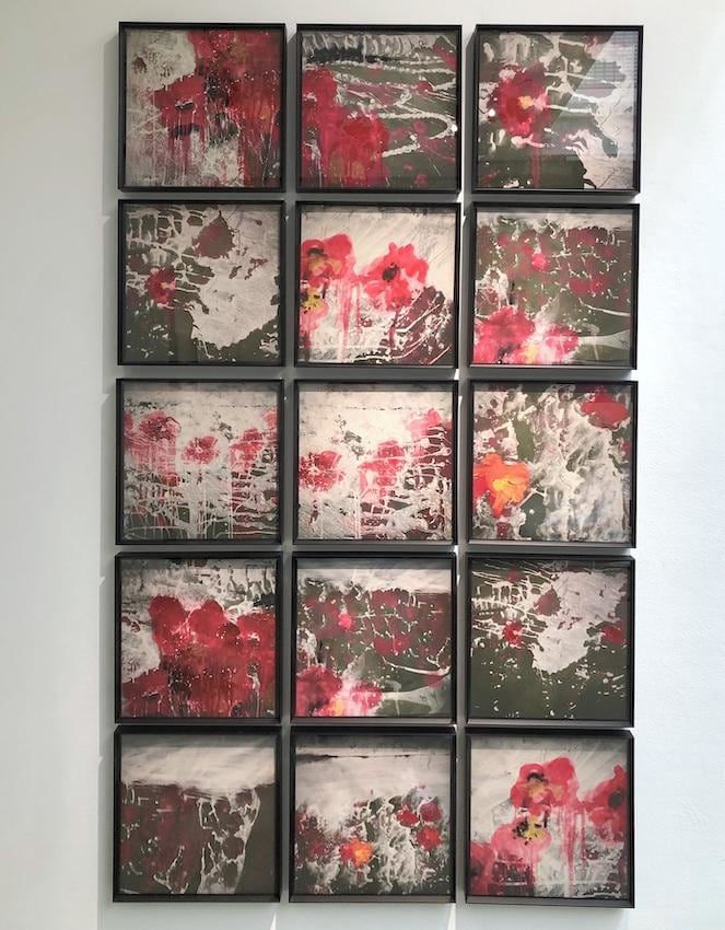 Paz Corona, Fleurs du désert, 2020