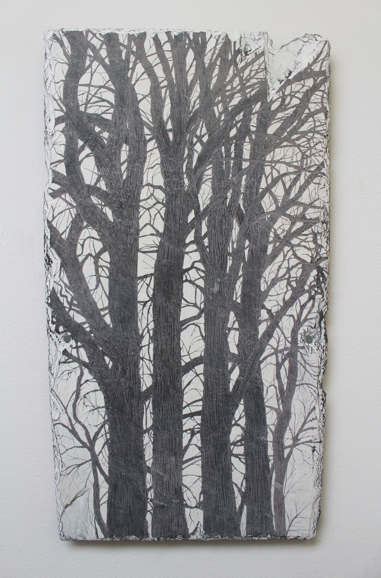 Scarlett Woodman, Rough Oak III, 2020