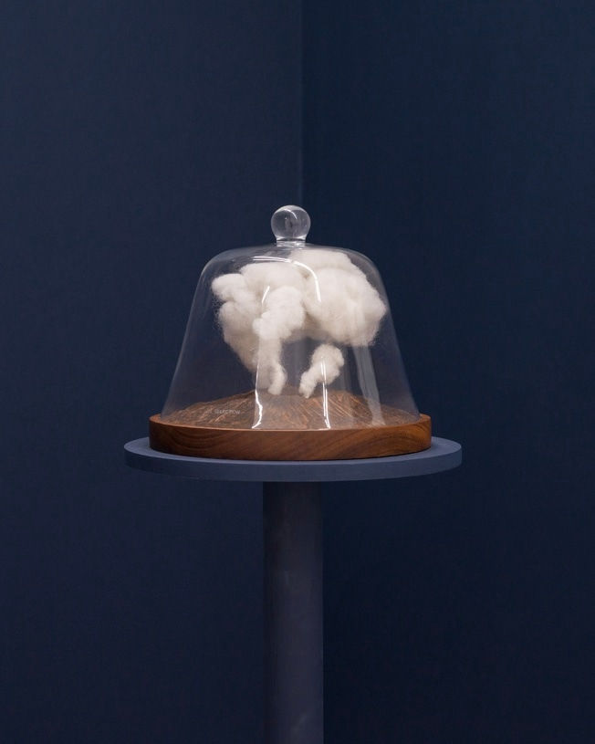 Daniela Edburg, Ceboruco, 2024