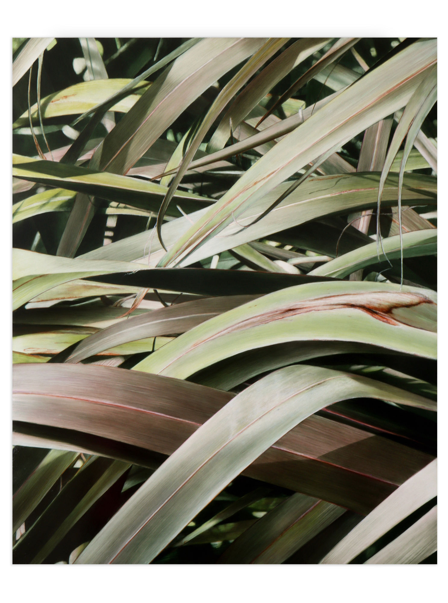 Neal Palmer, Crossing Over, 2024