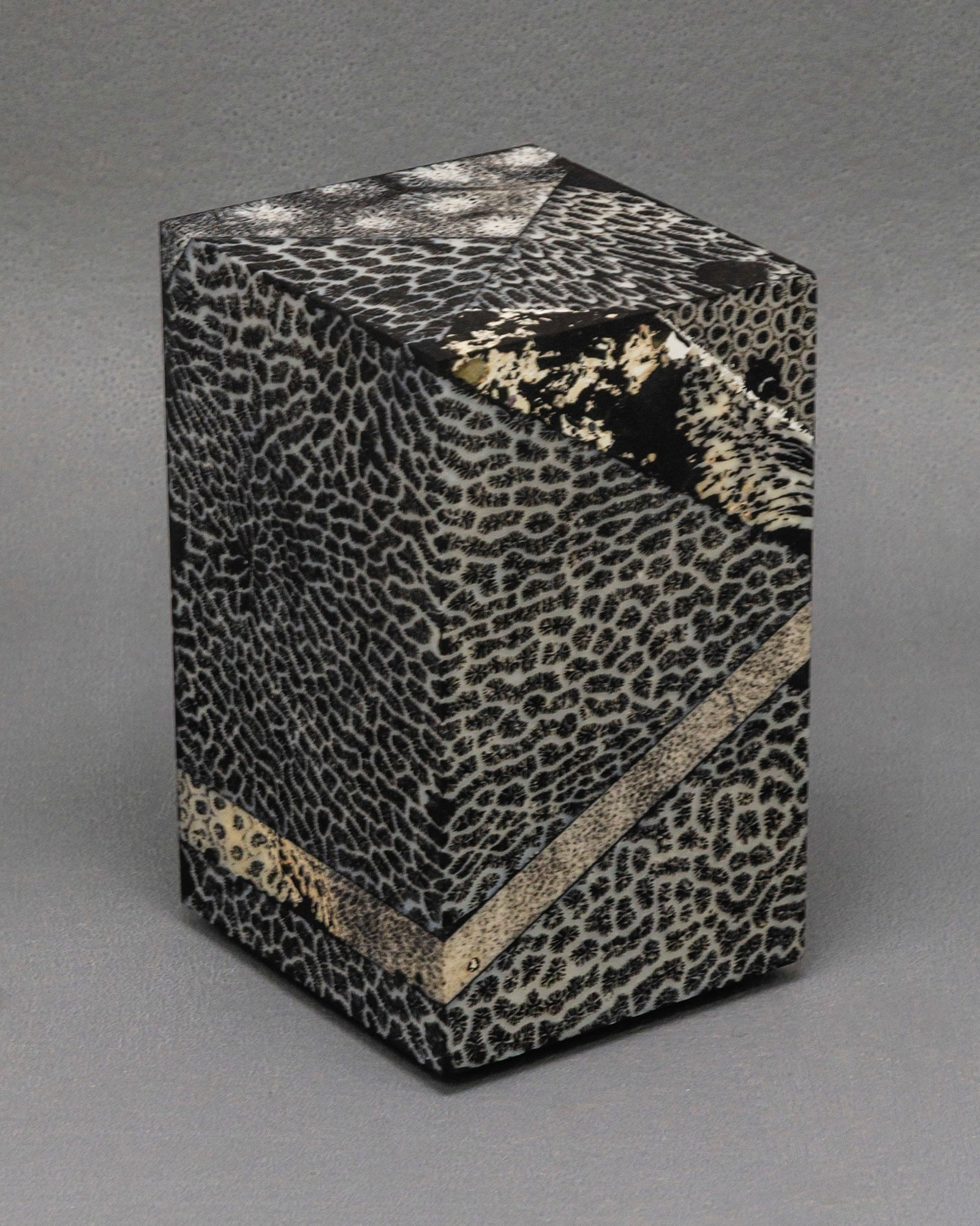 Chauncey Flay, Seawall 52, 2025