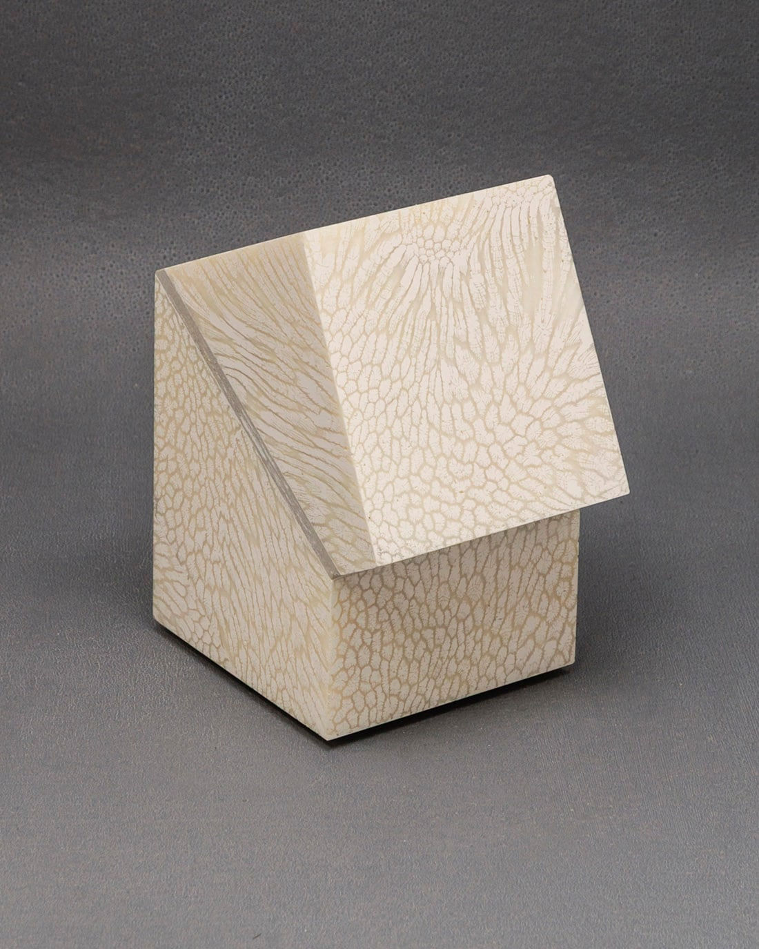 Chauncey Flay, Seawall 100, 2025