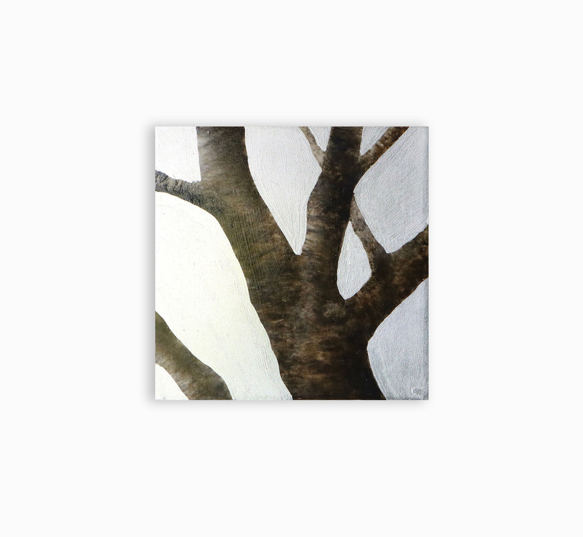 Neal Palmer, Under the Surface I